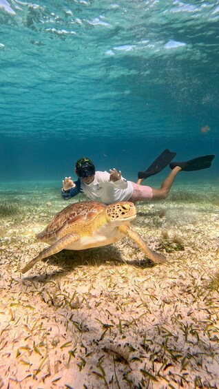 Picture 6 for Activity The Cozumel Turtle Sanctuary Snorkel Tour
