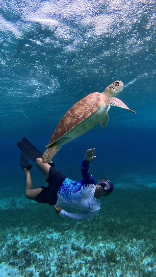 Picture 9 for Activity The Cozumel Turtle Sanctuary Snorkel Tour