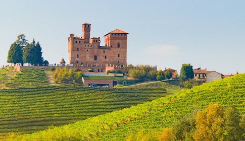 Excursión de un día a Alba, Langhe, el castillo de Piamonte y el vino Barol...