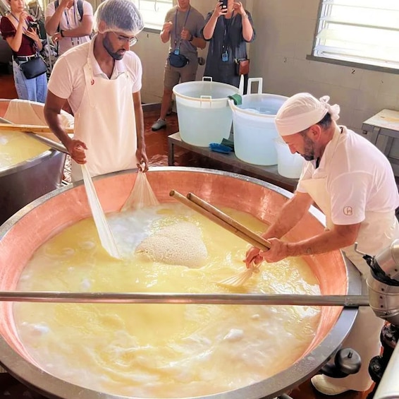 Picture 3 for Activity Parma: Traditional Cheese Factory Visit with Tasting