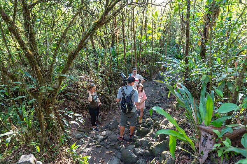 Picture 1 for Activity Arenal: 3-in-1 Volcano, La Fortuna Waterfall and Hot Springs