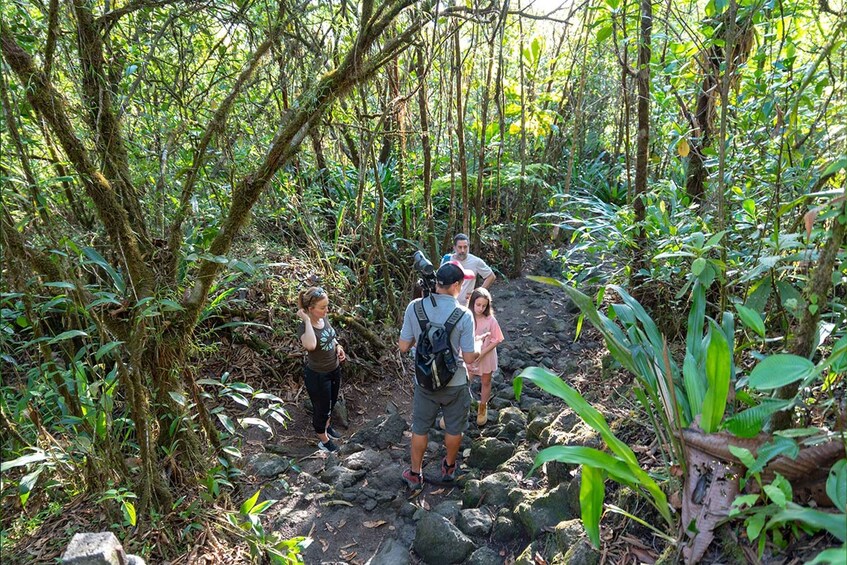Picture 1 for Activity Arenal: 3-in-1 Volcano, La Fortuna Waterfall and Hot Springs