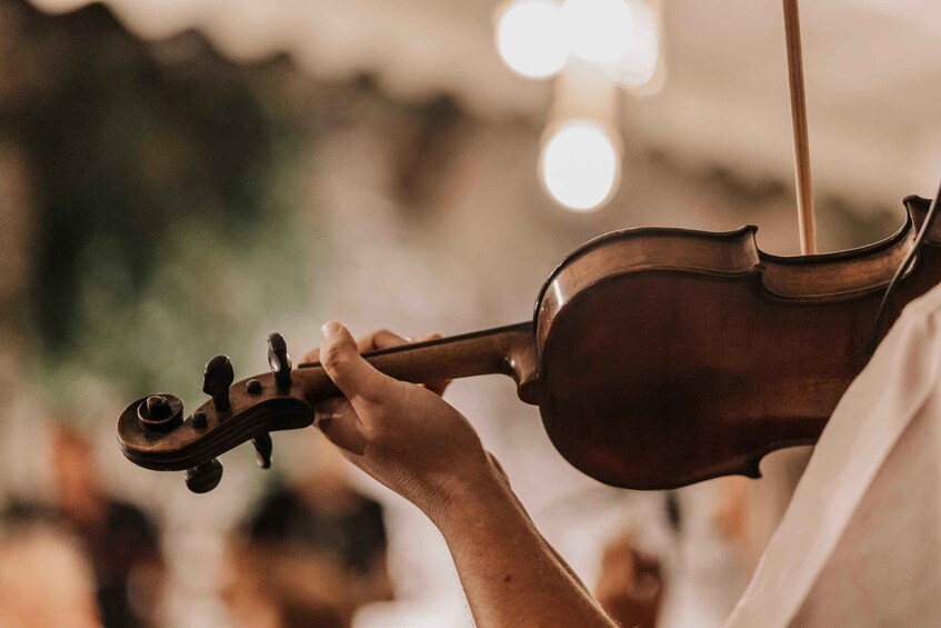 Picture 2 for Activity Corfu: Music Stories of a Corfiot at the Vineyard