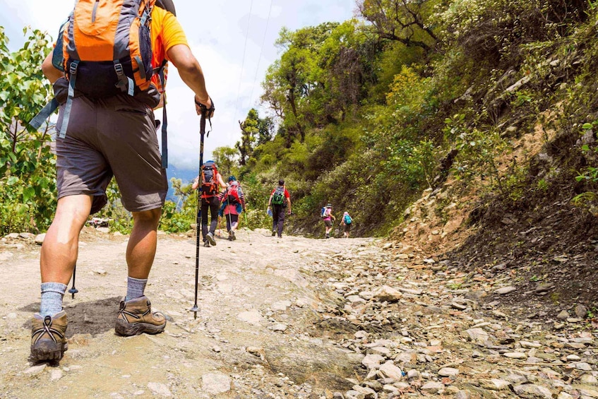 Guided Lama Dugh Hike in Manali