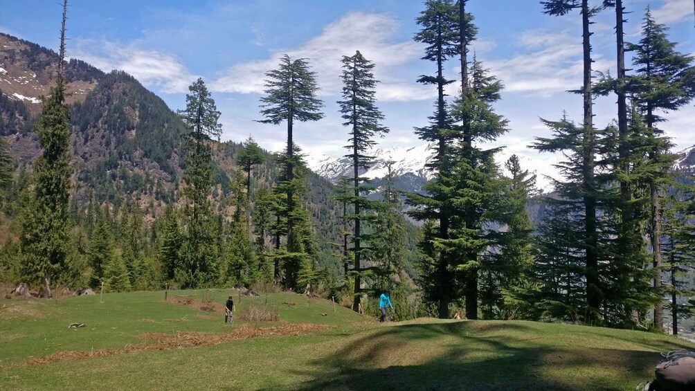 Picture 6 for Activity Guided Lama Dugh Hike in Manali