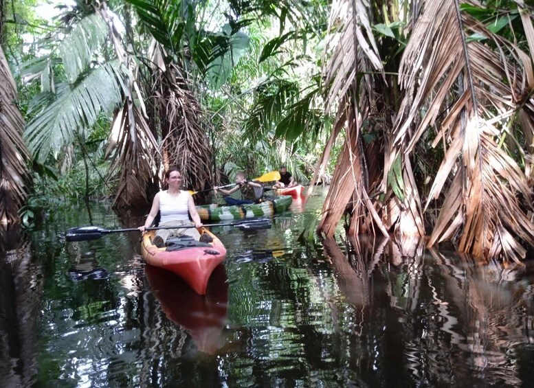 Picture 13 for Activity Tortuguero: Canoe tour in Tortuguero National Park