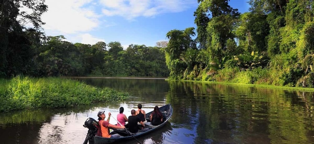 Picture 2 for Activity Tortuguero: Canoe tour in Tortuguero National Park