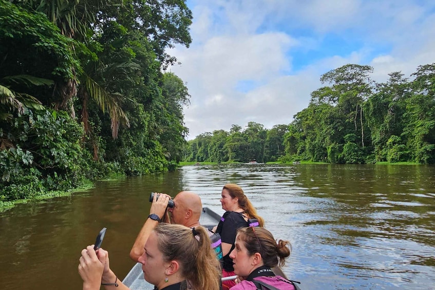 Picture 7 for Activity Tortuguero: Canoe tour in Tortuguero National Park