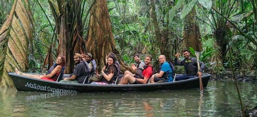 Tortuguero: Canoe tour in Tortuguero National Park