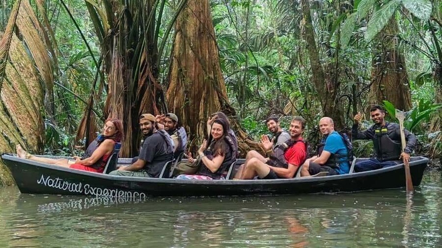 Tortuguero: Canoe tour in Tortuguero National Park