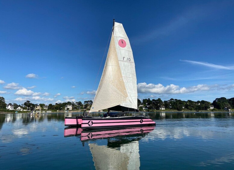Picture 8 for Activity Baden: Gulf of Morbihan Exploration by Catamaran