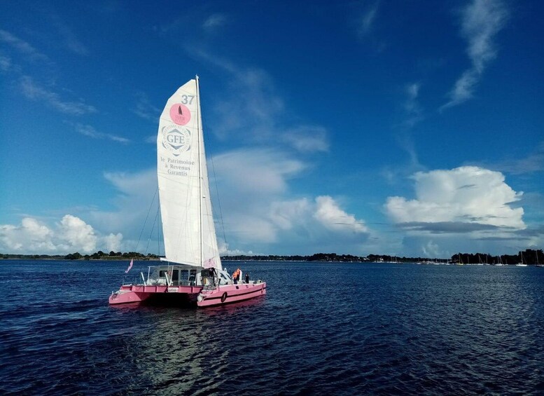 Baden: Gulf of Morbihan Exploration by Catamaran