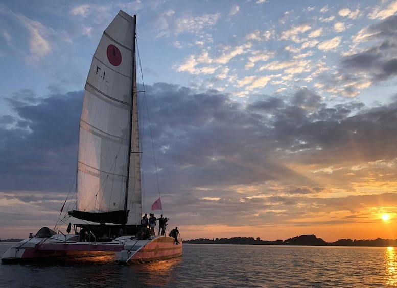 Picture 9 for Activity Baden: Gulf of Morbihan Exploration by Catamaran