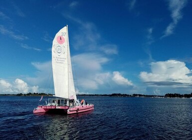 Baden: Gulf of Morbihan Exploration by Catamaran