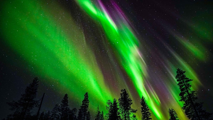 From Rovaniemi: Family-Friendly Northern Lights Tour