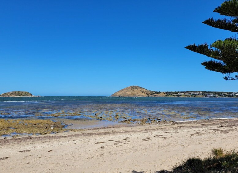 Picture 3 for Activity Victor Harbor: Stories of Shipwrecks & Settlers Walking Tour