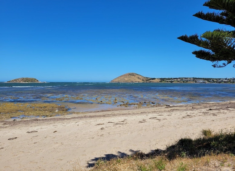 Picture 3 for Activity Victor Harbor: Stories of Shipwrecks & Settlers Walking Tour