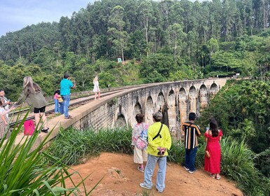 Desde Kandy: recorrido de un día en tren y club de piscina con recogida