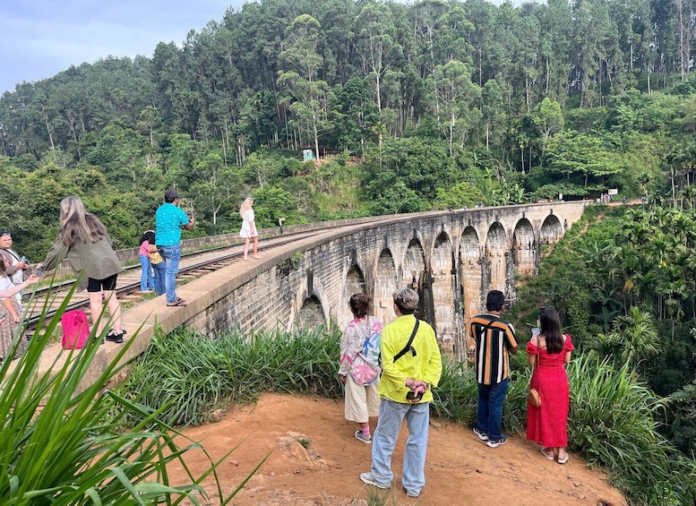 From kandy Train, and Pool Club Day Tour with Pickup