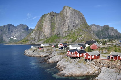 From Svolvaer: Private Lofoten Islands Tour with Transfer