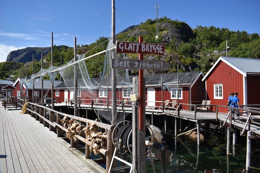 Picture 3 for Activity From Svolvaer: Private Lofoten Islands Tour with Transfer