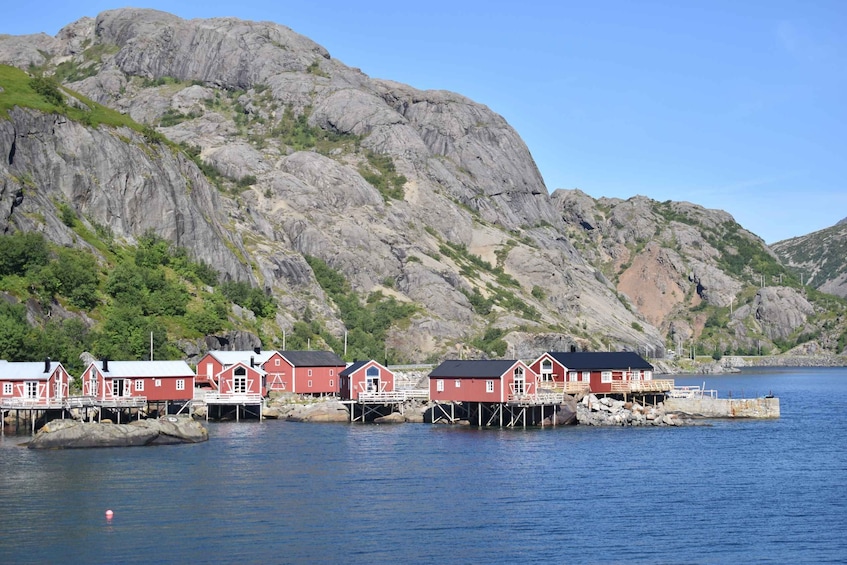 Picture 2 for Activity From Svolvaer: Private Lofoten Islands Tour with Transfer