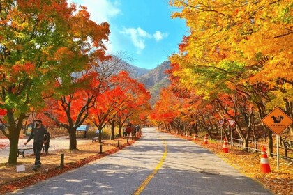 首爾：經典內藏山國家公園一日遊遊覽