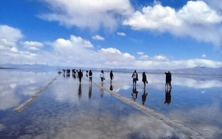 Fra Salta: Heldagsture til Cachi og Salinas Grandes