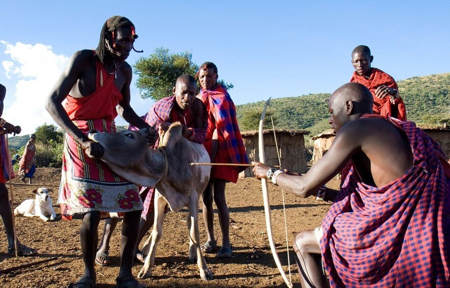 Picture 8 for Activity From Nairobi: Masai Tribe Village Visit