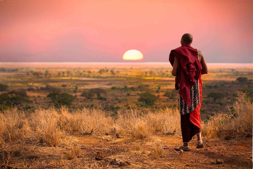 Picture 9 for Activity From Nairobi: Masai Tribe Village Visit