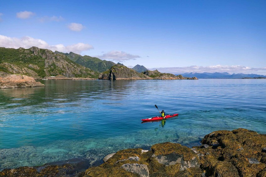Picture 1 for Activity From Svolvær: Lofoten Guided Kayak Experience
