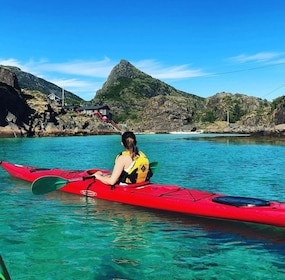 Lofoten: Guided Kayak Experience