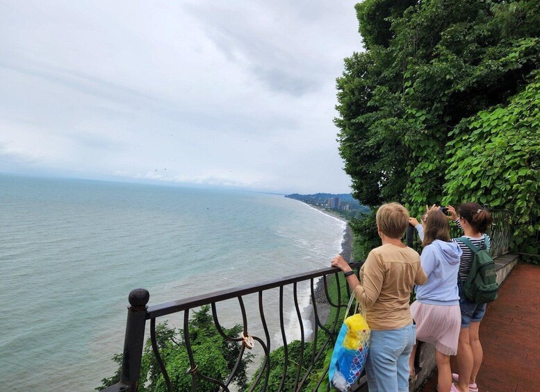 Picture 1 for Activity Batumi: Exploring Botanical Garden + Family Wine Tasting