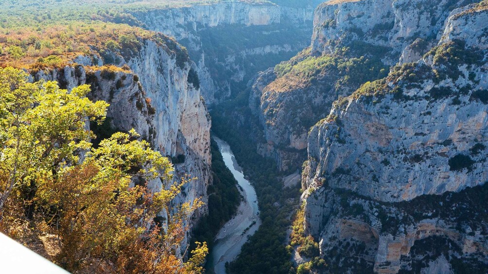 Picture 17 for Activity Wild Alps, Verdon Canyon, Moustiers village, Lavender fields