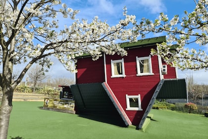 Lakeside: Upside Down House Inträdesbiljett