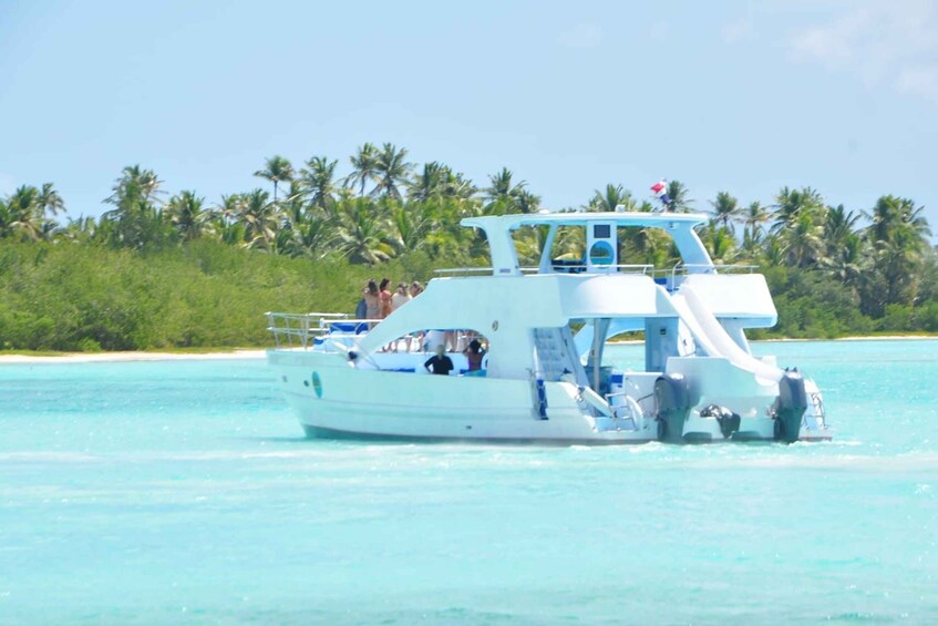 Picture 5 for Activity Saona Island: Beaches and Natural Pool Cruise with Lunch