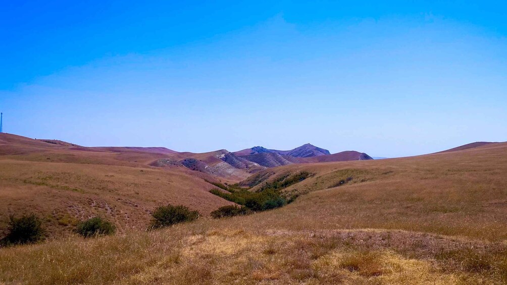 Picture 9 for Activity From Tbilisi: Rainbow Mountain & David Gareja Monastery Trip