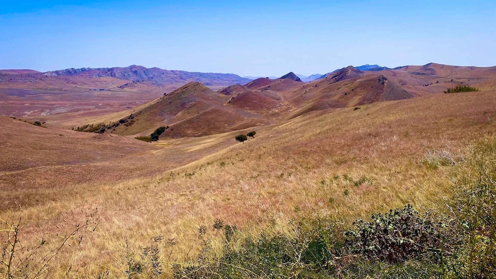 Picture 8 for Activity From Tbilisi: Rainbow Mountain & David Gareja Monastery Trip