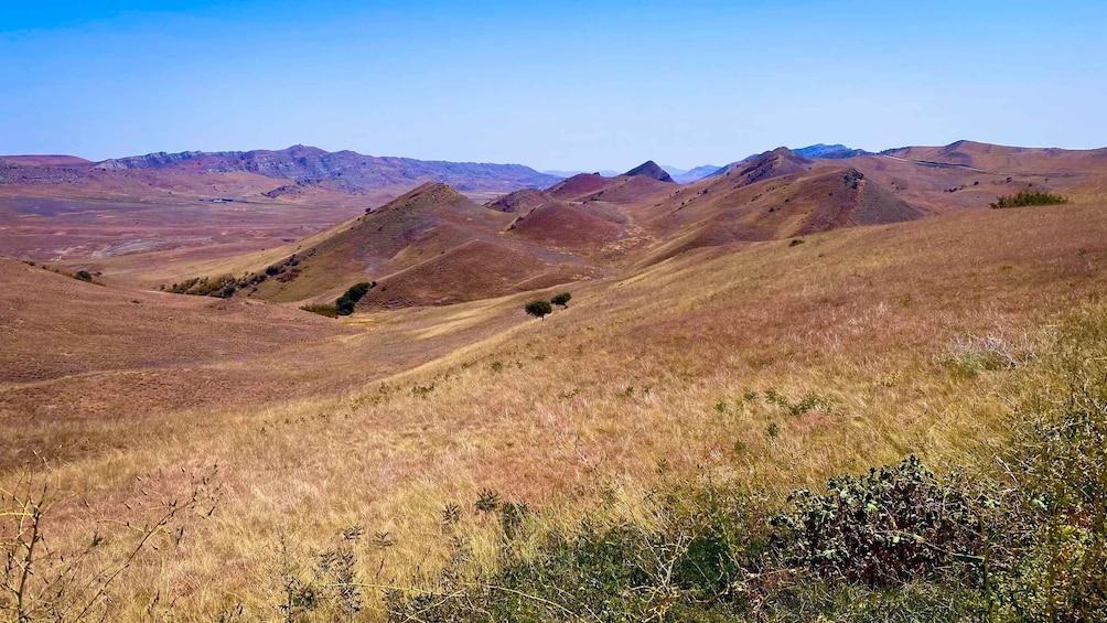 Picture 8 for Activity From Tbilisi: Rainbow Mountain & David Gareja Monastery Trip