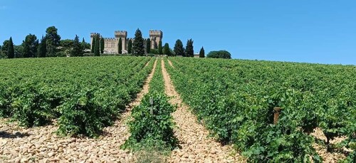 Aix-en-Provence: Avignon Tour & Chateauneuf-du-Pape Tasting