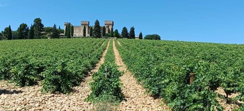 Aix-en-Provence: Avignon Tour & Chateauneuf-du-Pape Tasting