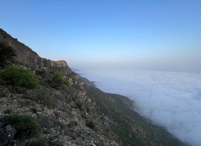 Picture 7 for Activity East Salalah: Wadi Darbat Waterfall, Camels, Castle & Samhan