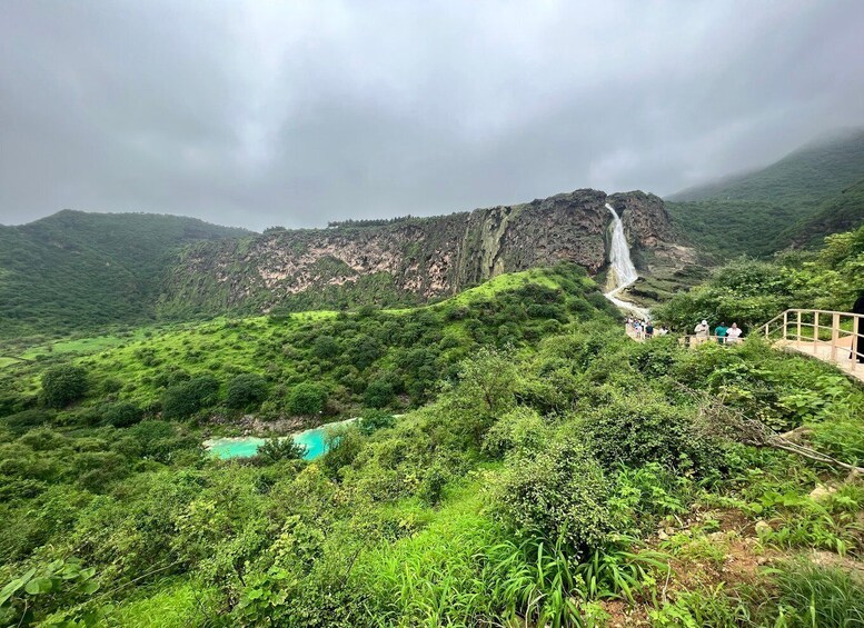 Picture 15 for Activity East Salalah: Wadi Darbat Waterfall, Camels, Castle & Samhan