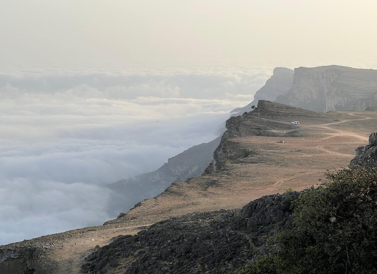 Picture 3 for Activity East Salalah: Wadi Darbat Waterfall, Camels, Castle & Samhan