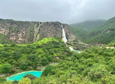 East Salalah: Wadi Darbat Waterfall, Camels, Castle & Samhan