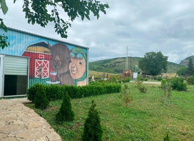 Alpaca farm in Shamakhi (Azerbaijan) 1 Day