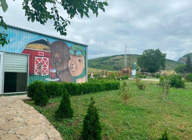 Alpaca farm in Shamakhi (Azerbaijan) 1 Day