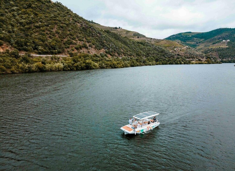 Picture 6 for Activity Pinhão: Douro River Solar Boat Tour with Wine Tasting