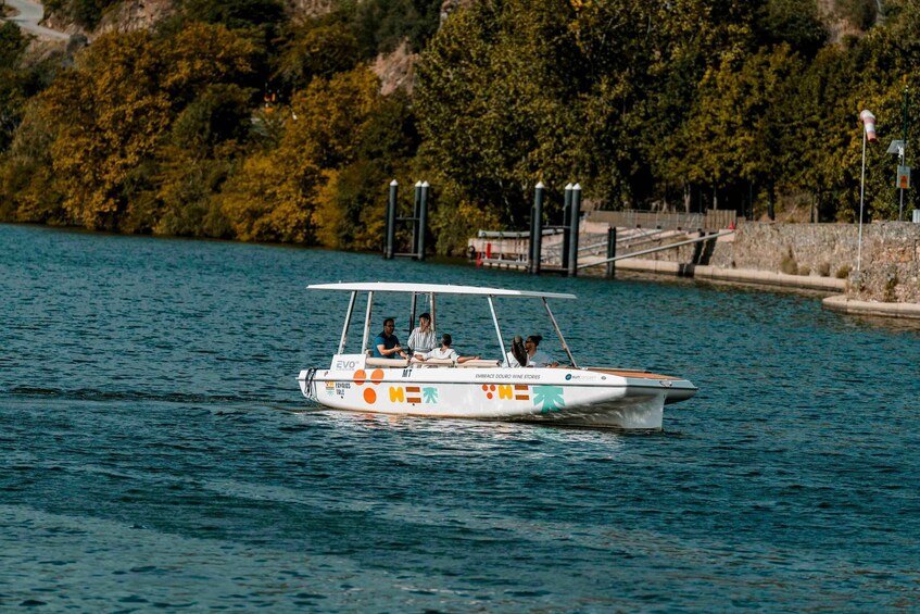 Picture 2 for Activity Pinhao: Douro River Solar Boat Tour - Wine Tasting Included