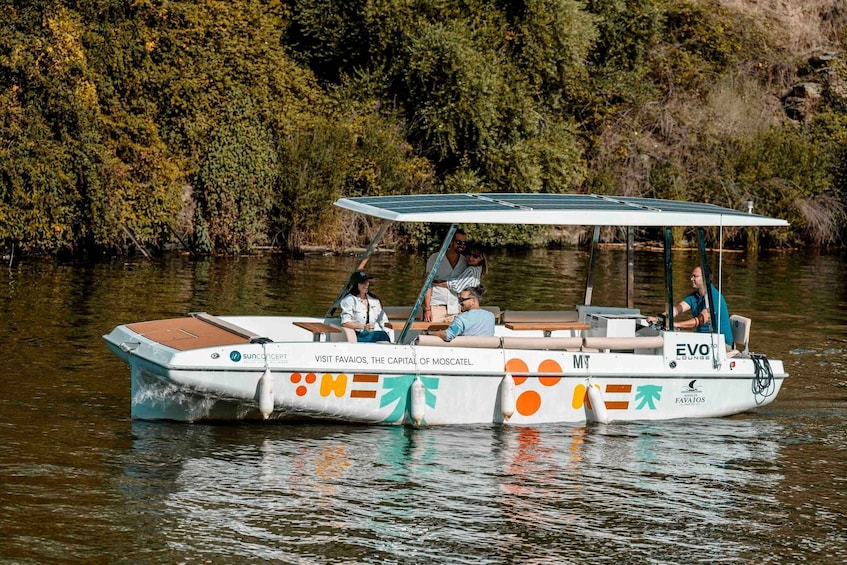 Picture 11 for Activity Pinhão: Douro River Solar Boat Tour with Wine Tasting